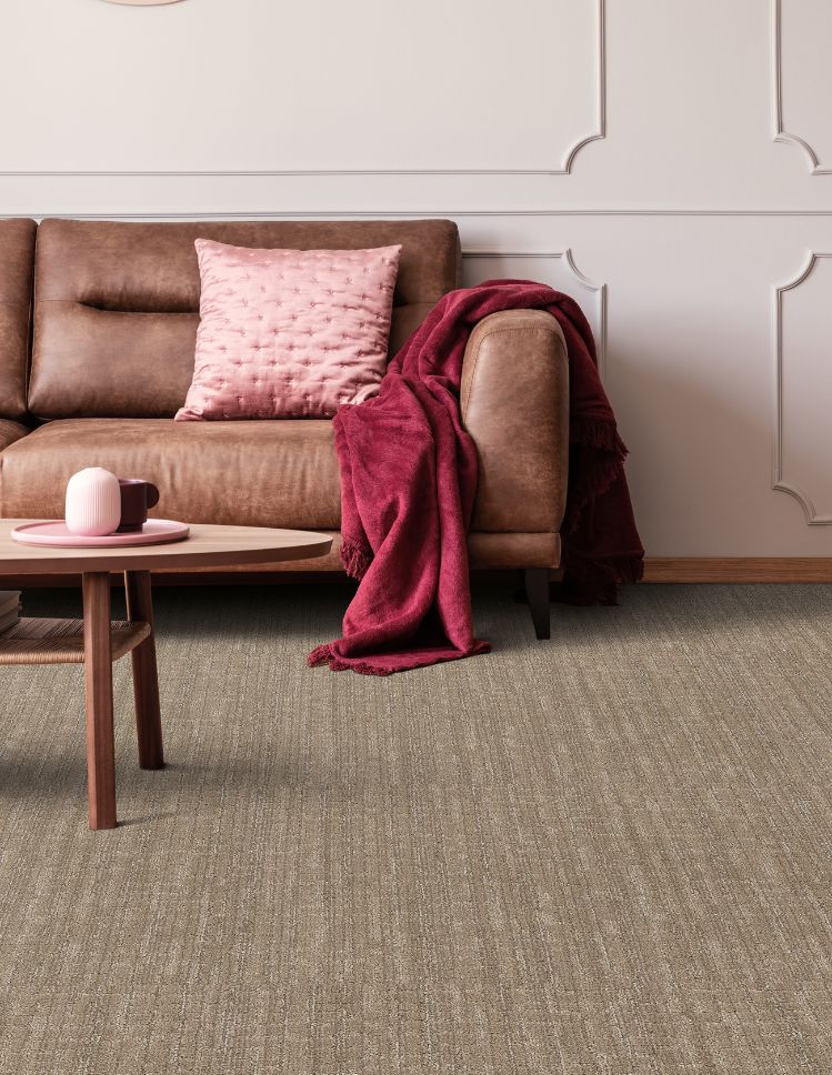 brown textured carpets in a Sherwood living room